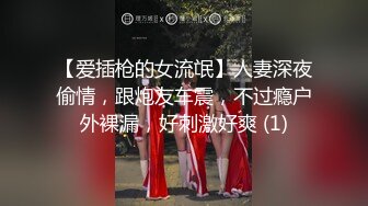 【爱插枪的女流氓】人妻深夜偷情，跟炮友车震，不过瘾户外裸漏，好刺激好爽 (1)