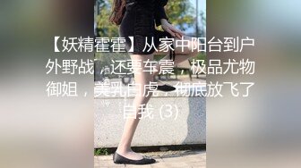 【妖精霍霍】从家中阳台到户外野战，还要车震，极品尤物御姐，美乳白虎，彻底放飞了自我 (3)