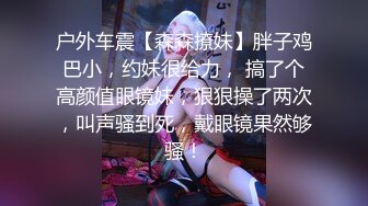 户外车震【森森撩妹】胖子鸡巴小，约妹很给力， 搞了个高颜值眼镜妹，狠狠操了两次，叫声骚到死，戴眼镜果然够骚！