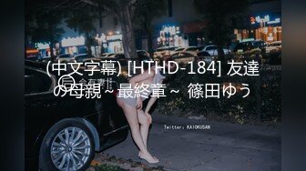 (中文字幕) [HTHD-184] 友達の母親～最終章～ 篠田ゆう