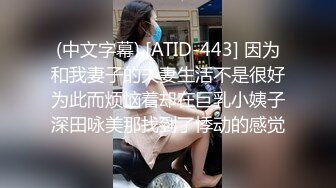 (中文字幕) [ATID-443] 因为和我妻子的夫妻生活不是很好为此而烦恼着却在巨乳小姨子深田咏美那找到了悸动的感觉