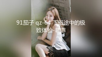 91茄子 qz-64 下班途中的极致体验-菲菲