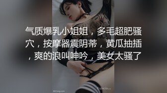 气质爆乳小姐姐，多毛超肥骚穴，按摩器震阴蒂，黄瓜抽插，爽的浪叫呻吟，美女太骚了