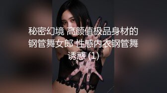 秘密幻境 高颜值极品身材的钢管舞女郎 性感内衣钢管舞诱惑 (1)